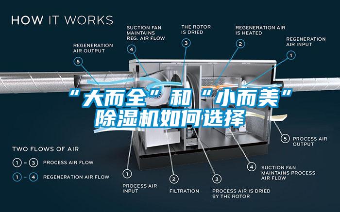 “大而全”和“小而美”除湿机如何选择