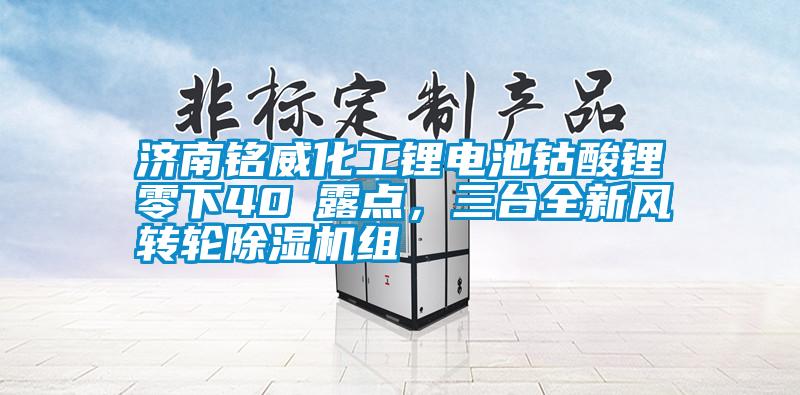 济南铭威化工锂电池钴酸锂零下40℃露点，三台全新风转轮除湿机组