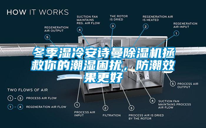 冬季湿冷cq9电子除湿机拯救你的潮湿困扰，防潮效果更好