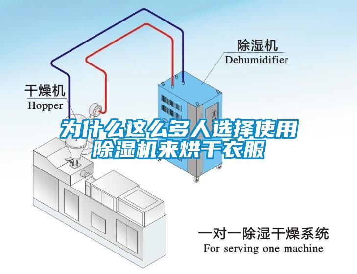 为什么这么多人选择使用除湿机来烘干衣服