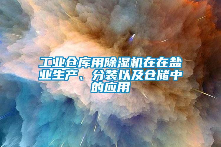 工业仓库用除湿机在在盐业生产、分装以及仓储中的应用