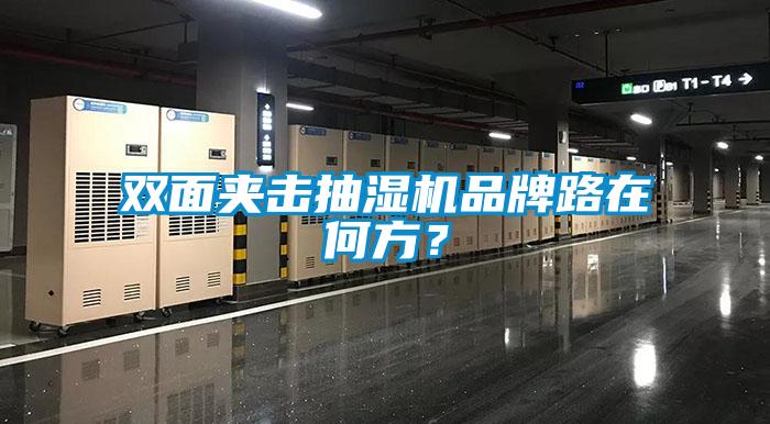 双面夹击抽湿机品牌路在何方？