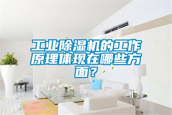 工业除湿机的工作原理体现在哪些方面？