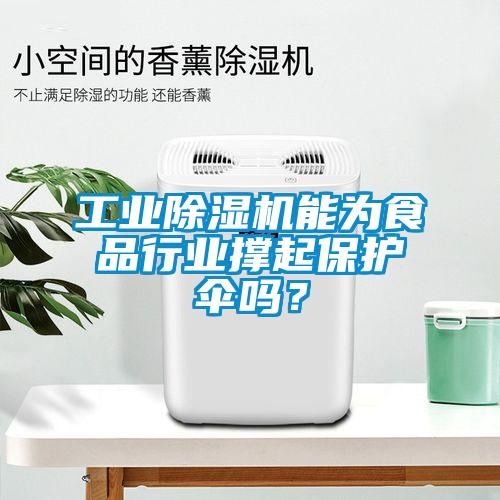 工业除湿机能为食品行业撑起保护伞吗？