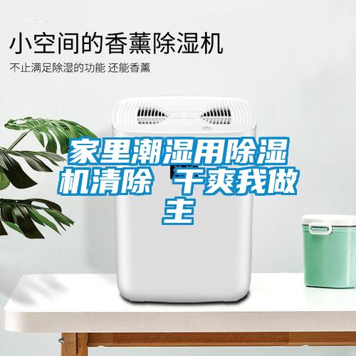 家里潮湿用除湿机清除 干爽我做主