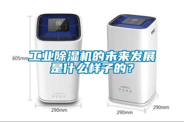 工业除湿机的cq9电子发展是什么样子的？