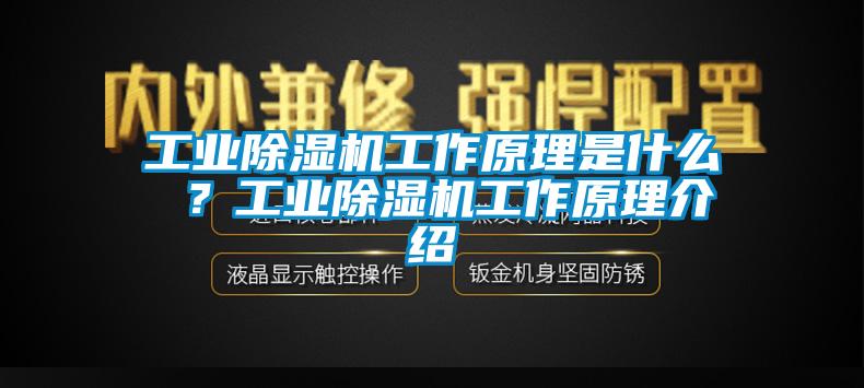 工业除湿机工作原理是什么 ？工业除湿机工作原理介绍