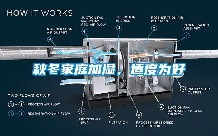 秋冬家庭加湿，适度为好