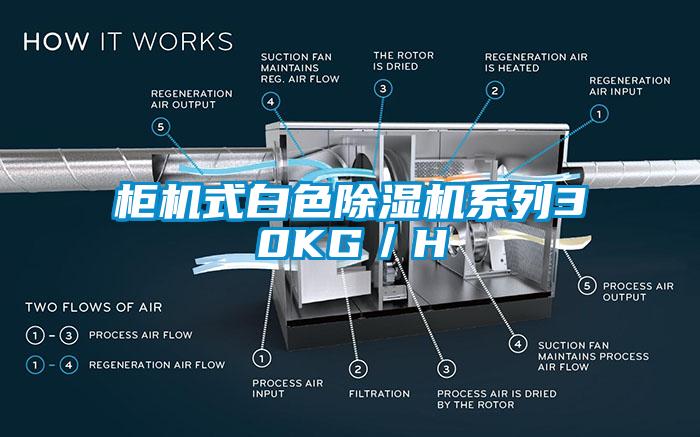 柜机式白色除湿机系列30KG／H