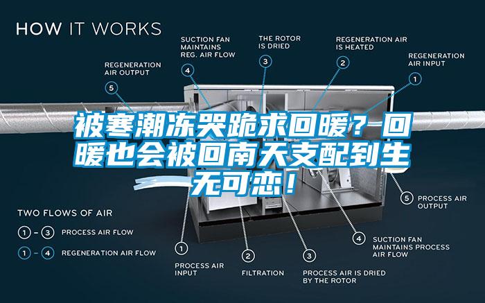 被寒潮冻哭跪求回暖？回暖也会被回南天支配到生无可恋！