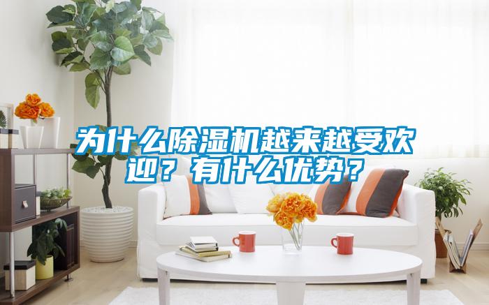 为什么除湿机越来越受欢迎？有什么优势？