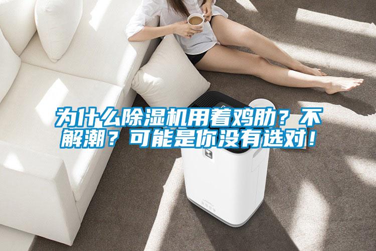 为什么除湿机用着鸡肋？不解潮？可能是你没有选对！