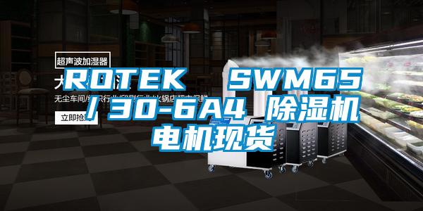 ROTEK  SWM65／30-6A4 除湿机电机现货