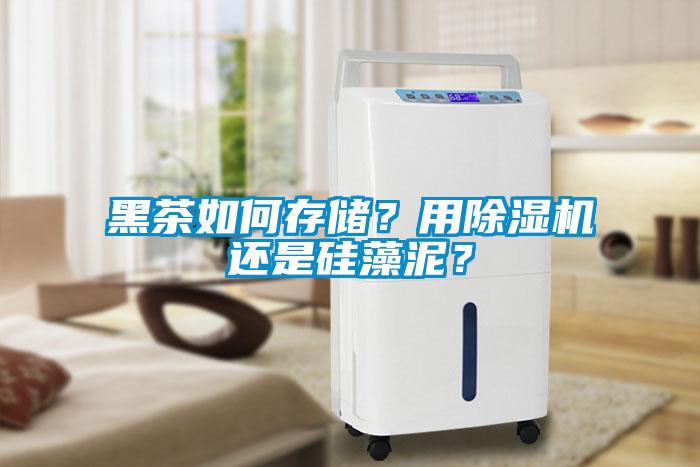 黑茶如何存储？用除湿机还是硅藻泥？