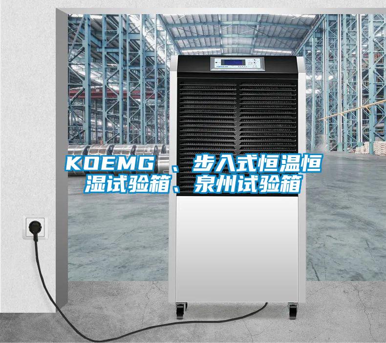 KOEMG 、步入式恒温恒湿试验箱、泉州试验箱