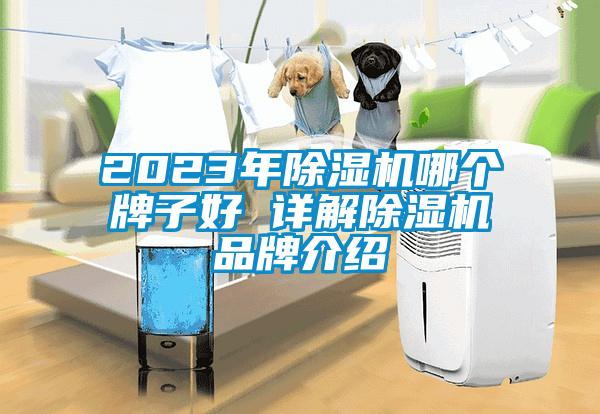 2023年除湿机哪个牌子好 详解除湿机品牌介绍