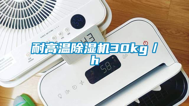 耐高温除湿机30kg／h