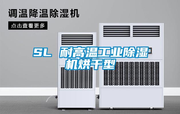 SL 耐高温工业除湿机烘干型