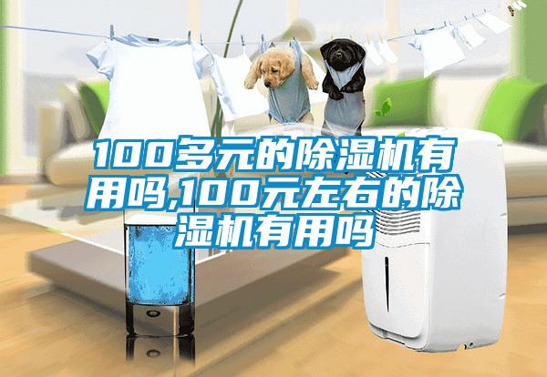 100多元的除湿机有用吗,100元左右的除湿机有用吗