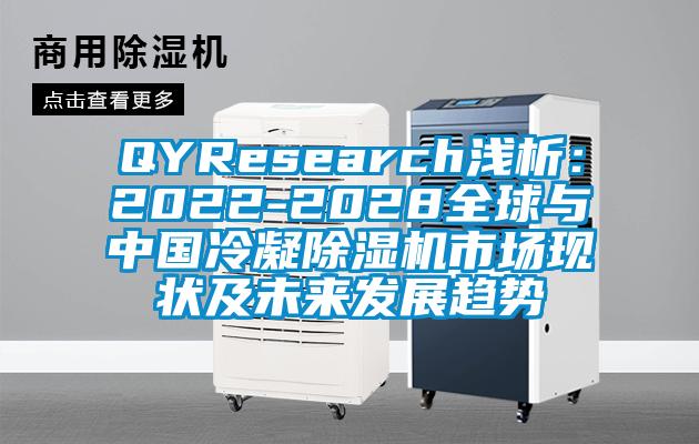 QYResearch浅析：2022-2028全球与cq9电子冷凝除湿机市场现状及cq9电子发展趋势