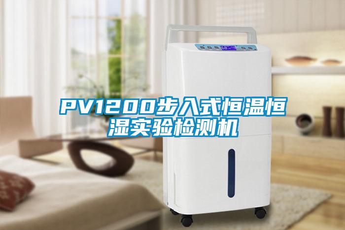 PV1200步入式恒温恒湿实验检测机