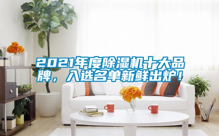 2021年度除湿机十大品牌，入选名单新鲜出炉！