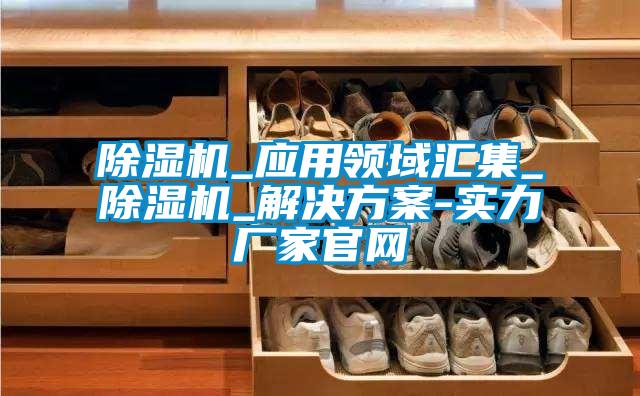 除湿机_应用领域汇集_除湿机_解决方案-实力厂家官网