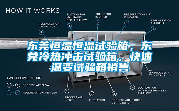 东莞恒温恒湿试验箱，东莞冷热冲击试验箱，快速温变试验箱销售