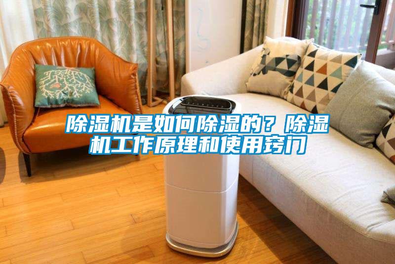 除湿机是如何除湿的？除湿机工作原理和使用窍门