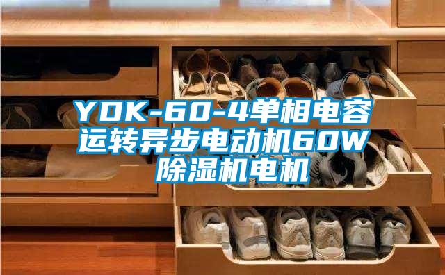 YDK-60-4单相电容运转异步电动机60W 除湿机电机