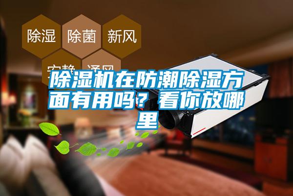 除湿机在防潮除湿方面有用吗？看你放哪里