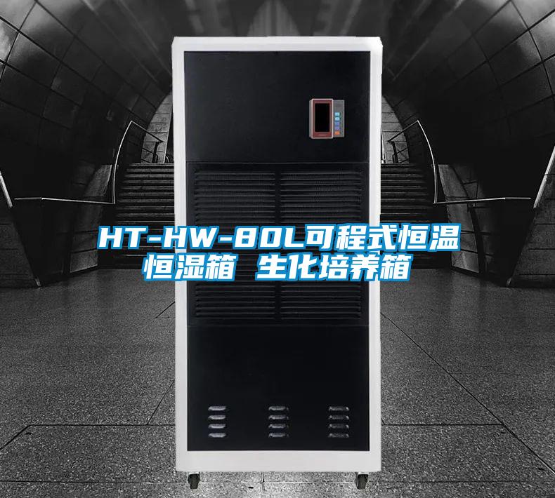 HT-HW-80L可程式恒温恒湿箱 生化培养箱