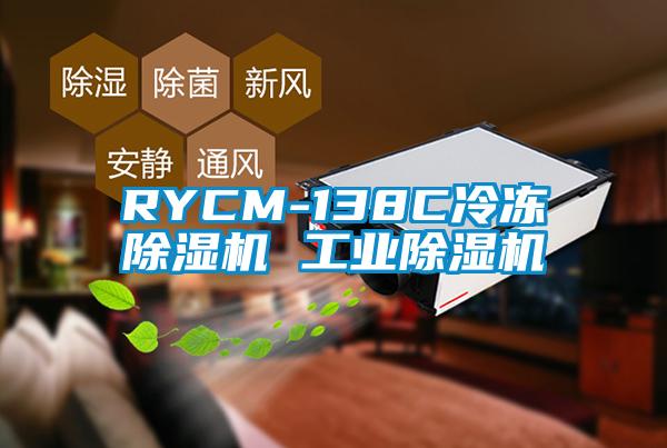 RYCM-138C冷冻除湿机 工业除湿机