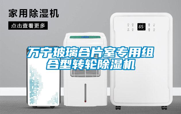 万宁玻璃合片室专用组合型转轮除湿机