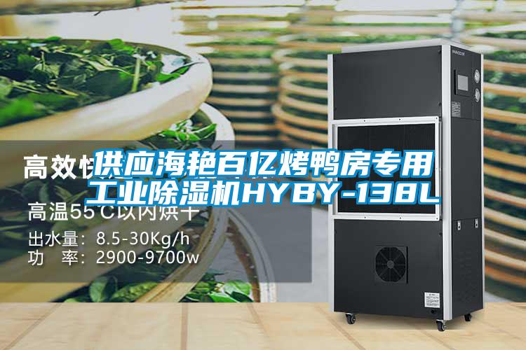 供应海艳百亿烤鸭房专用工业除湿机HYBY-138L