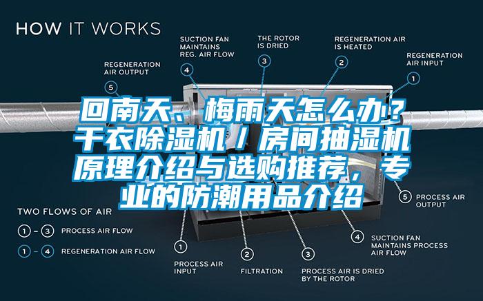 回南天、梅雨天怎么办？干衣除湿机／房间抽湿机原理介绍与选购推荐，专业的防潮用品介绍