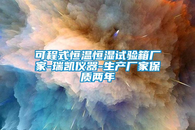 可程式恒温恒湿试验箱厂家-瑞凯仪器-生产厂家保质两年