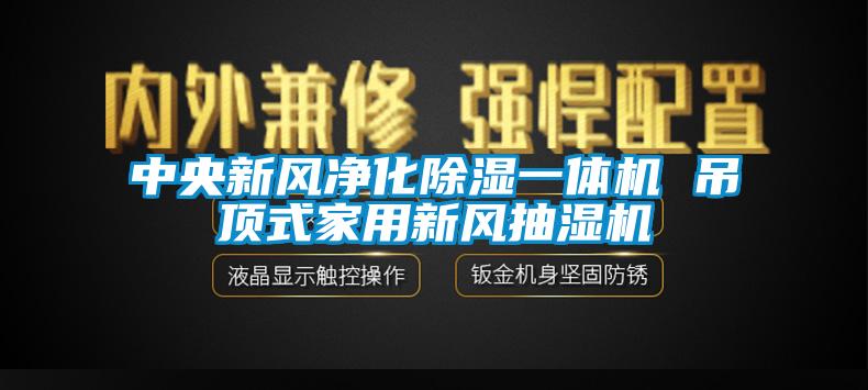 中央新风净化除湿一体机 吊顶式家用新风抽湿机