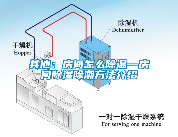 其他：房间怎么除湿—房间除湿除潮方法介绍