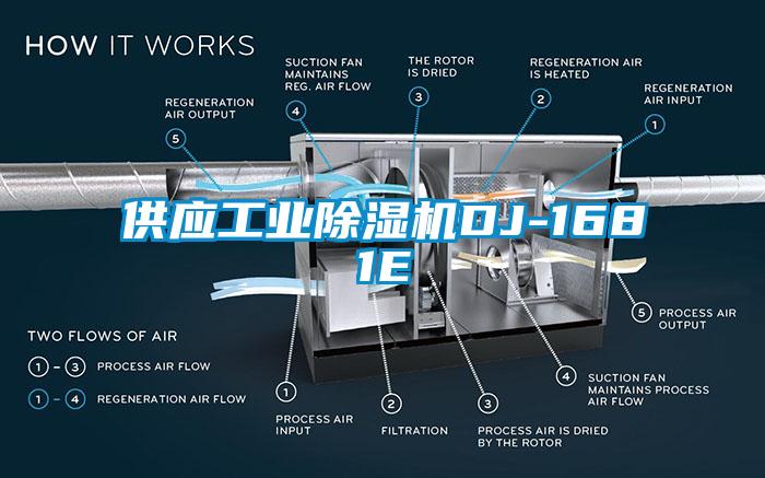 供应工业除湿机DJ-1681E