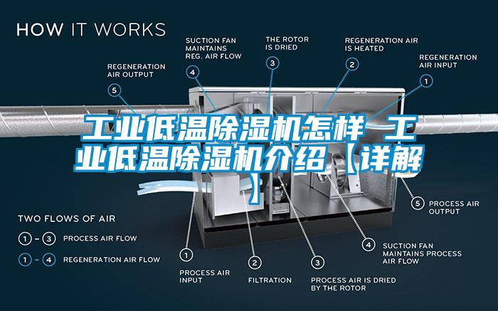 工业低温除湿机怎样 工业低温除湿机介绍【详解】