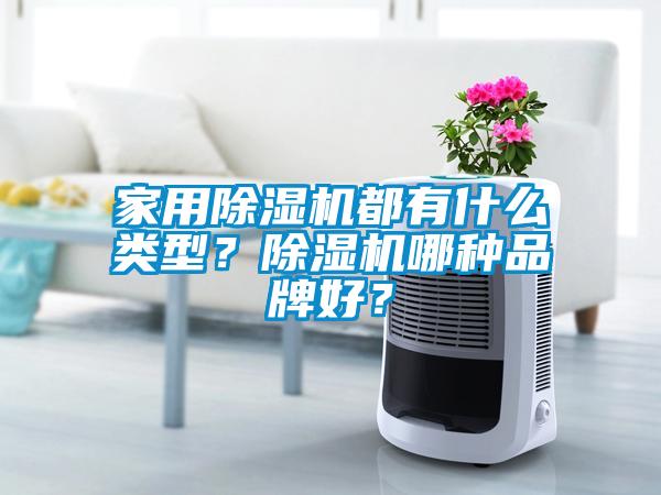 家用除湿机都有什么类型？除湿机哪种品牌好？