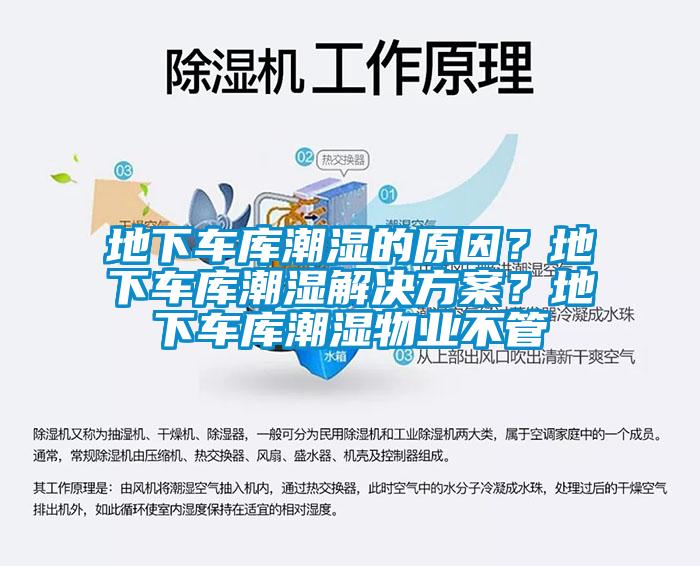 地下车库潮湿的原因？地下车库潮湿解决方案？地下车库潮湿物业不管