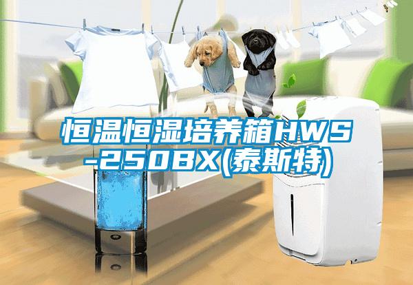 恒温恒湿培养箱HWS-250BX(泰cq9电子)