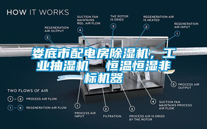 娄底市配电房除湿机，工业抽湿机  恒温恒湿非标机器