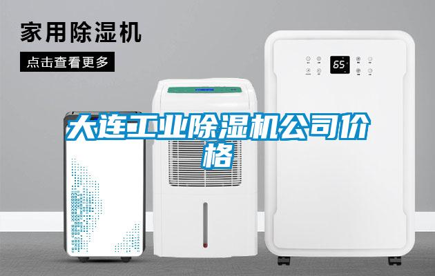 大连工业除湿机公司价格