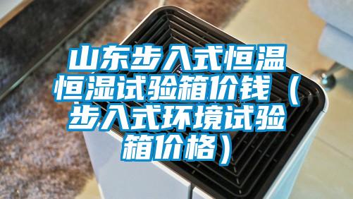 山东步入式恒温恒湿试验箱价钱（步入式环境试验箱价格）