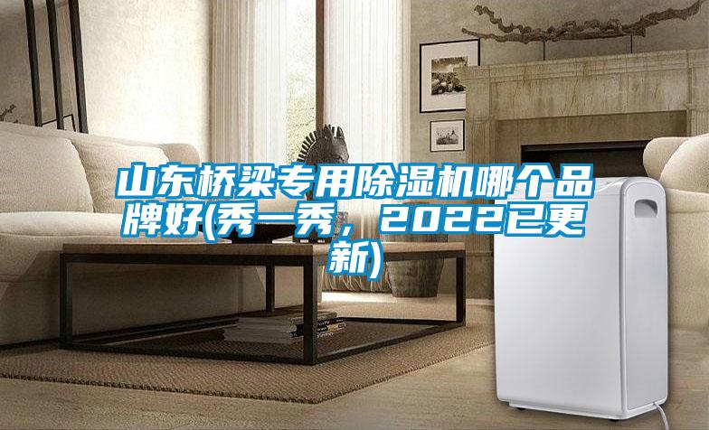 山东桥梁专用除湿机哪个品牌好(秀一秀，2022已更新)