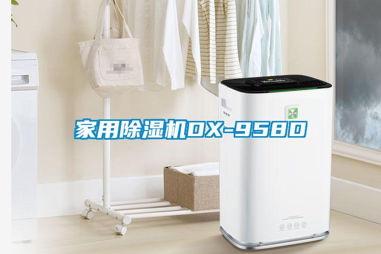 家用除湿机DX-958D