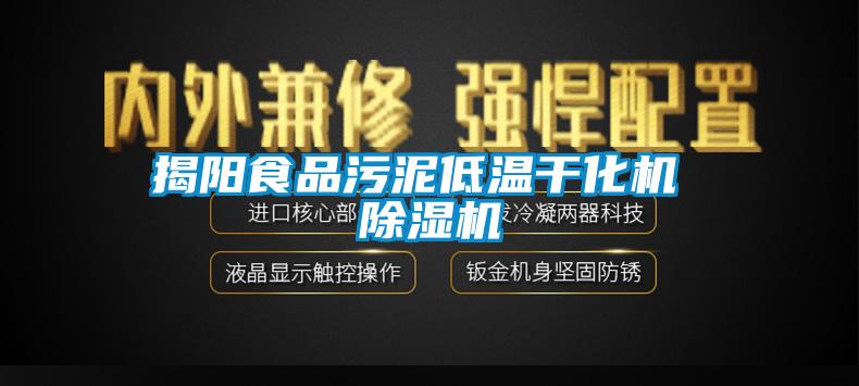 揭阳食品污泥低温干化机 除湿机